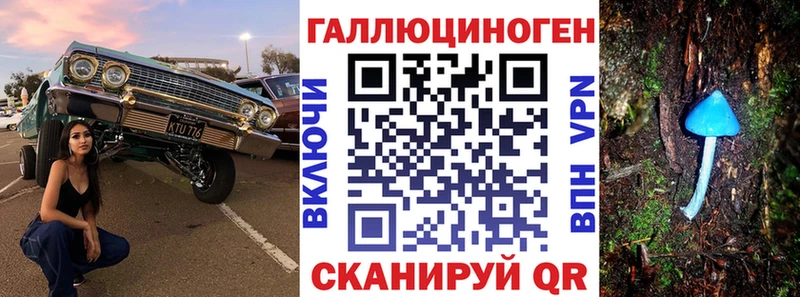где найти   Вытегра  Галлюциногенные грибы мухоморы 